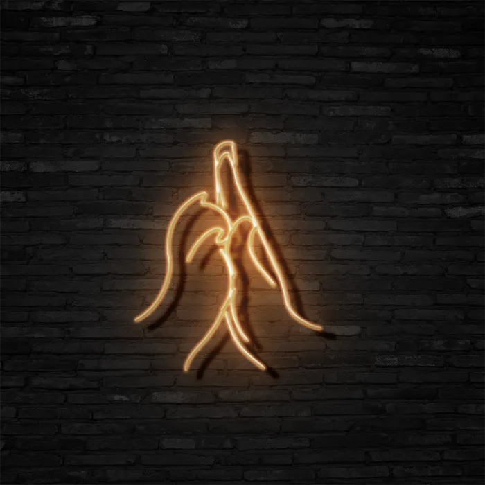 High Five   Neon Sign