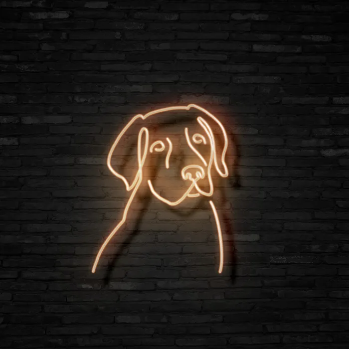 Labrador   Neon Mama