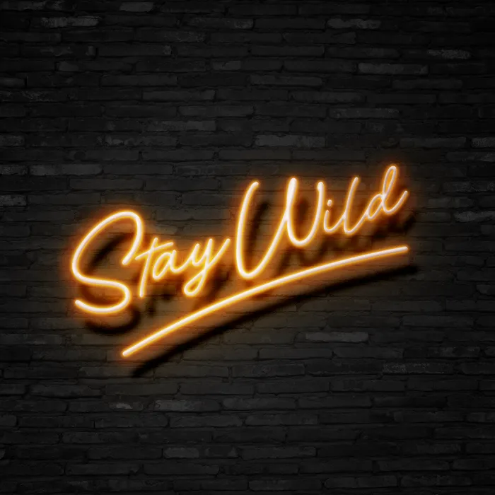 Stay Wild   Neon Sign