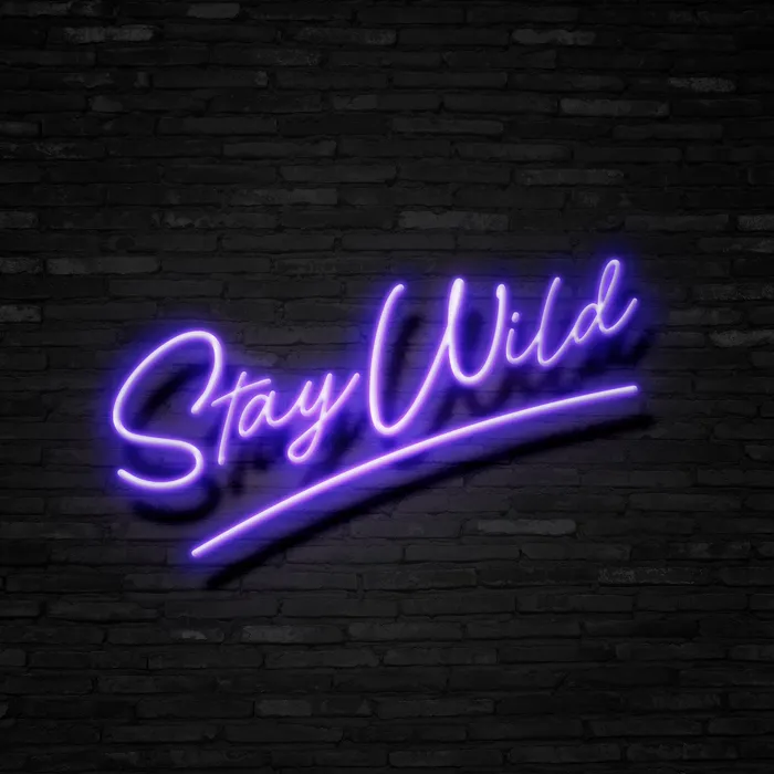 Stay Wild   Neon Sign