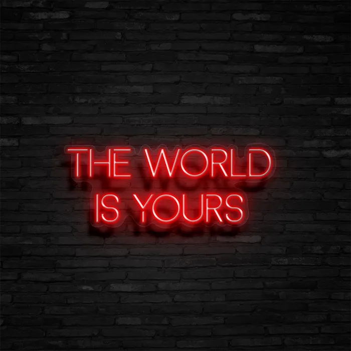 The World Is Yours   Neon Sign