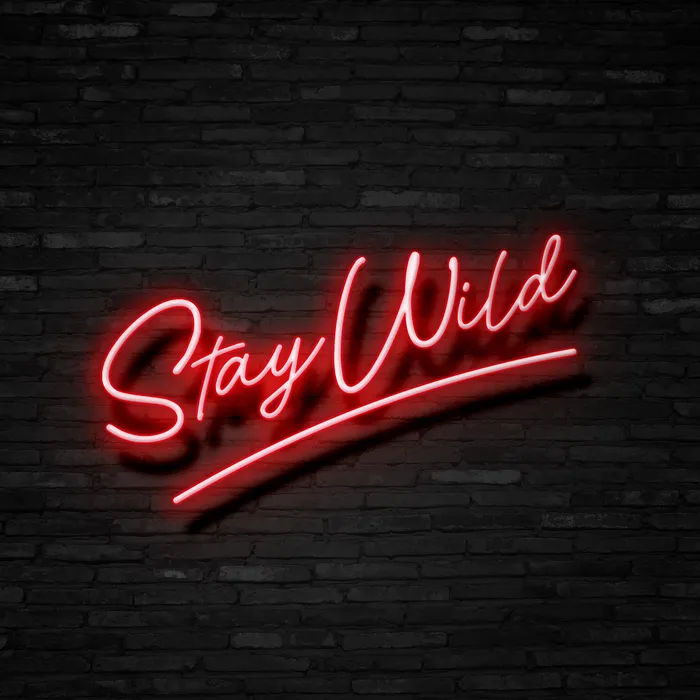 Stay Wild   Neon Sign