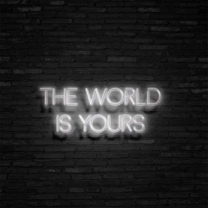 The World Is Yours   Neon Sign