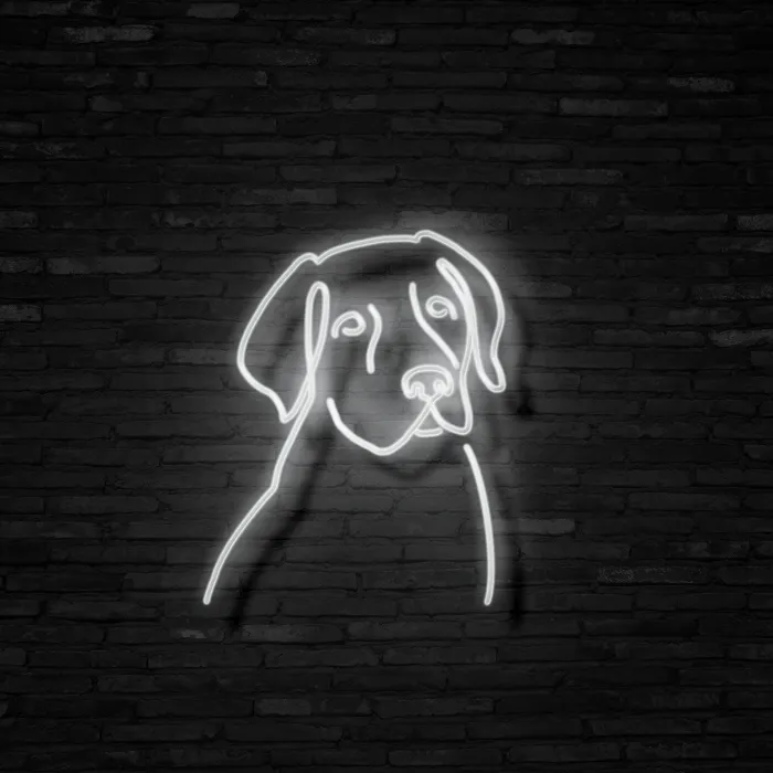 Labrador   Neon Mama