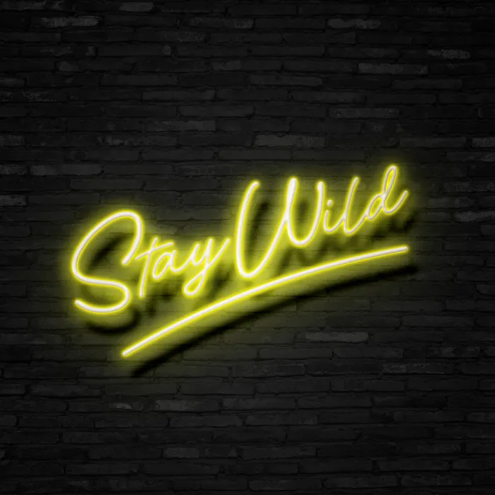 Stay Wild   Neon Sign